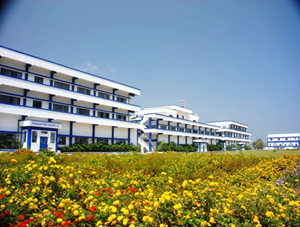 API-Companies-in-Hyderabad